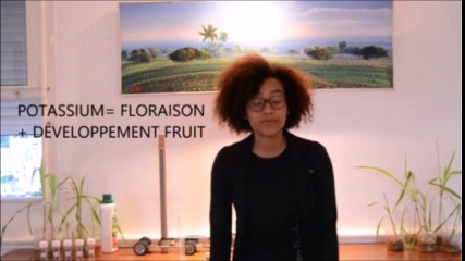 Pensons environnement