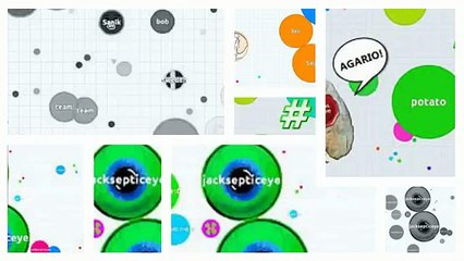 Agario Private Server