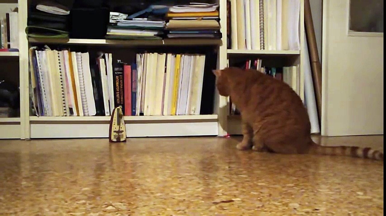 Snooky and the Metronome