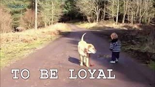 Walking Dog - Funny Video That Make You Laugh and Cry - Funniest Video Ever