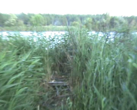 строим сижу на Печенегах