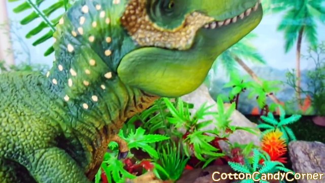 Dinosaurs Tyrannosaurus T Rex VS T Rex Battle Dinosaur Eats