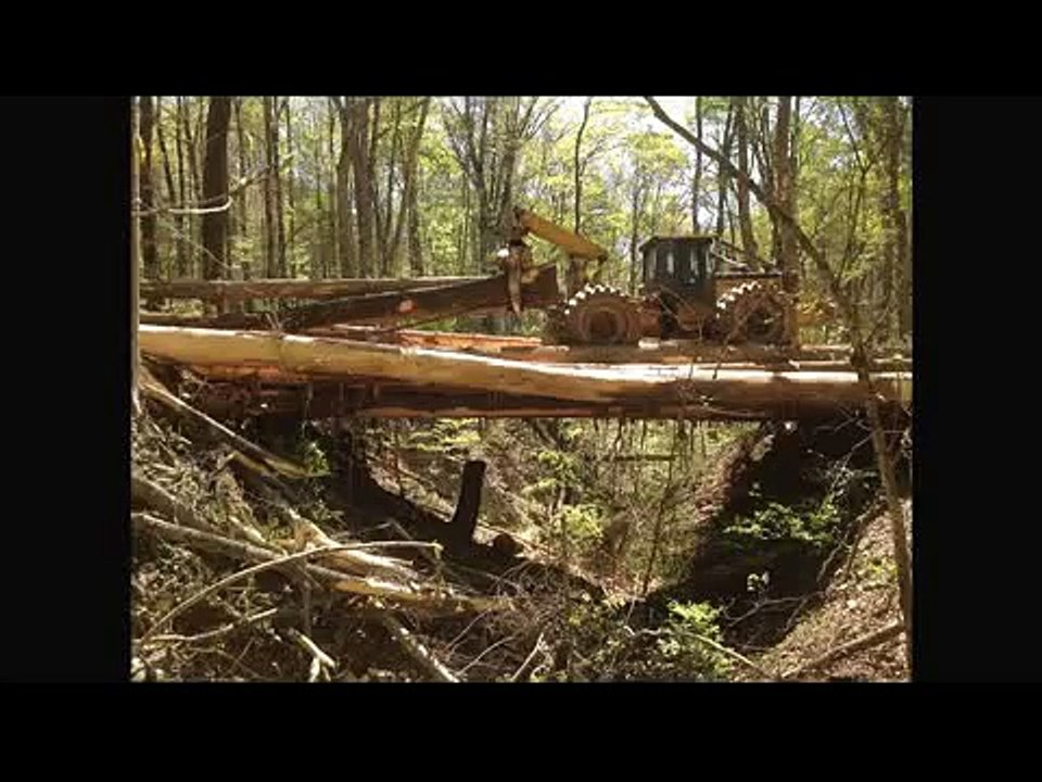 Sawing moons big cottonwood