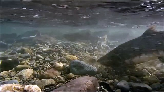 Красивая природа16