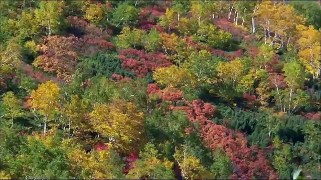 Красивая природа18