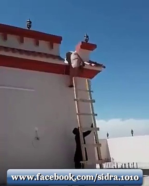 Funny scene  video