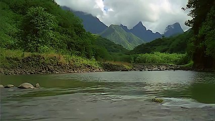 Природа мира43