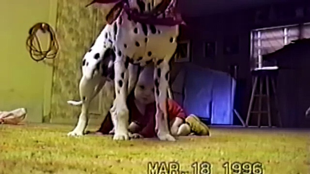 Cute Dogs And Adorable Babies- Compilation