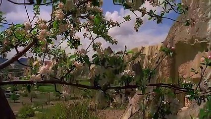 Природа мира34