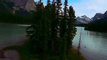 Природа мира223