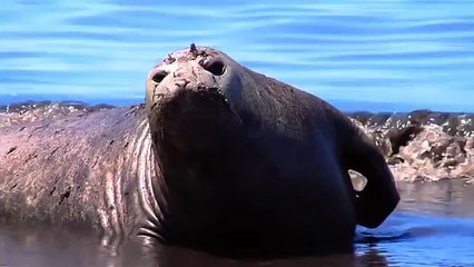 Природа мира190