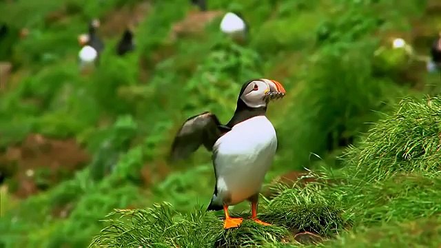 Природа мира205