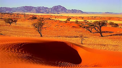 Природа мира208