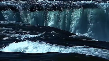 Природа мира220