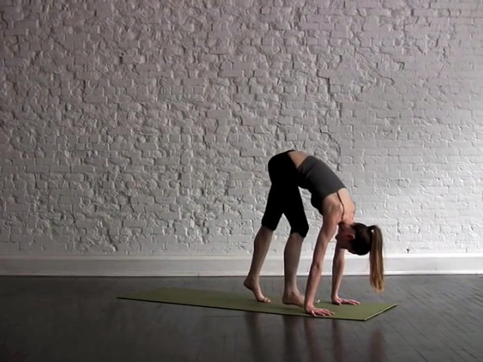 Weight Loss Yoga for Beginners