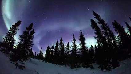 Дикая природа америки25