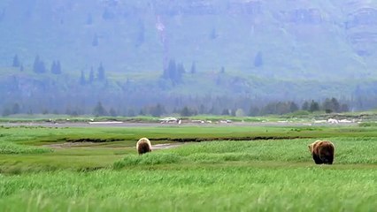 Про природу аляски053