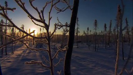 Про природу аляски005