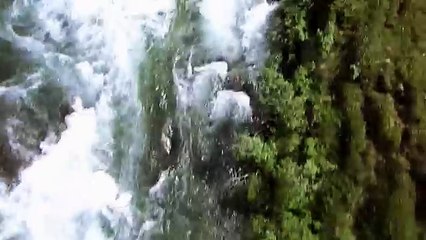 Про природу аляски013