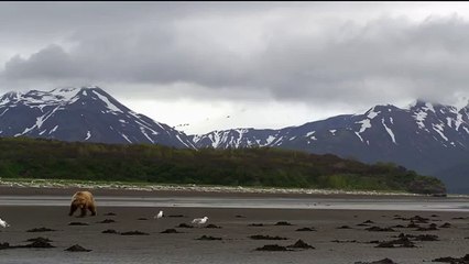 Про природу аляски033