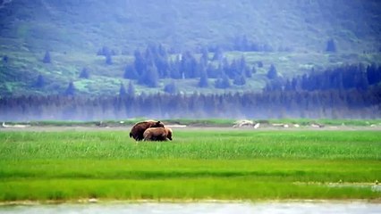 Про природу аляски063