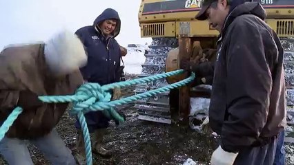 Про природу аляски071