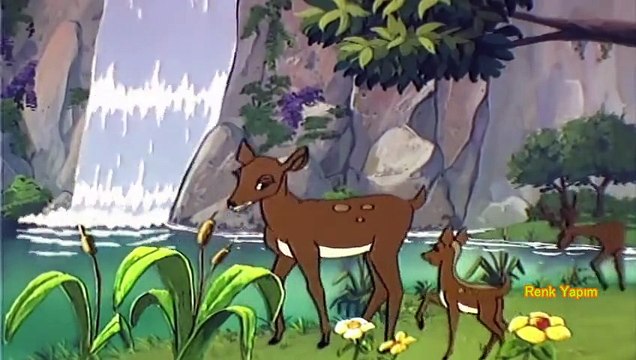 Hayvanlar Alemi Çizgi Dizi