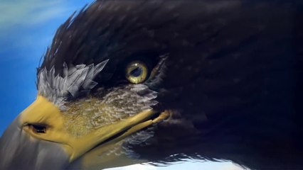 Boeing 737 AEW&C - Barış Kartalı Tanıtım Filmi