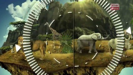 [綠上行 3] 2016-02-24 大象與犀牛的末路 - 1280x720 1951K