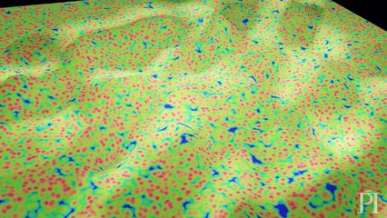 Putting The Multiverse To The Test