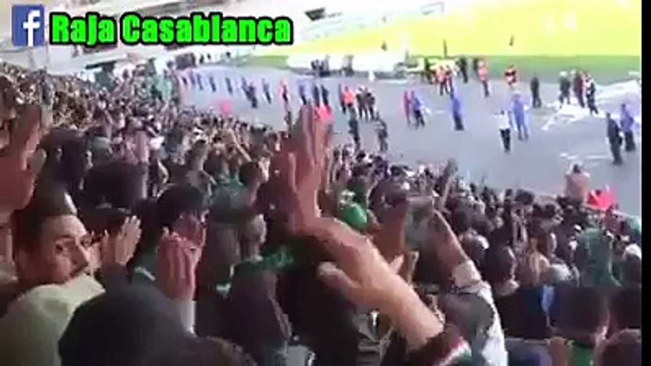 جراد ملوك الطلعات