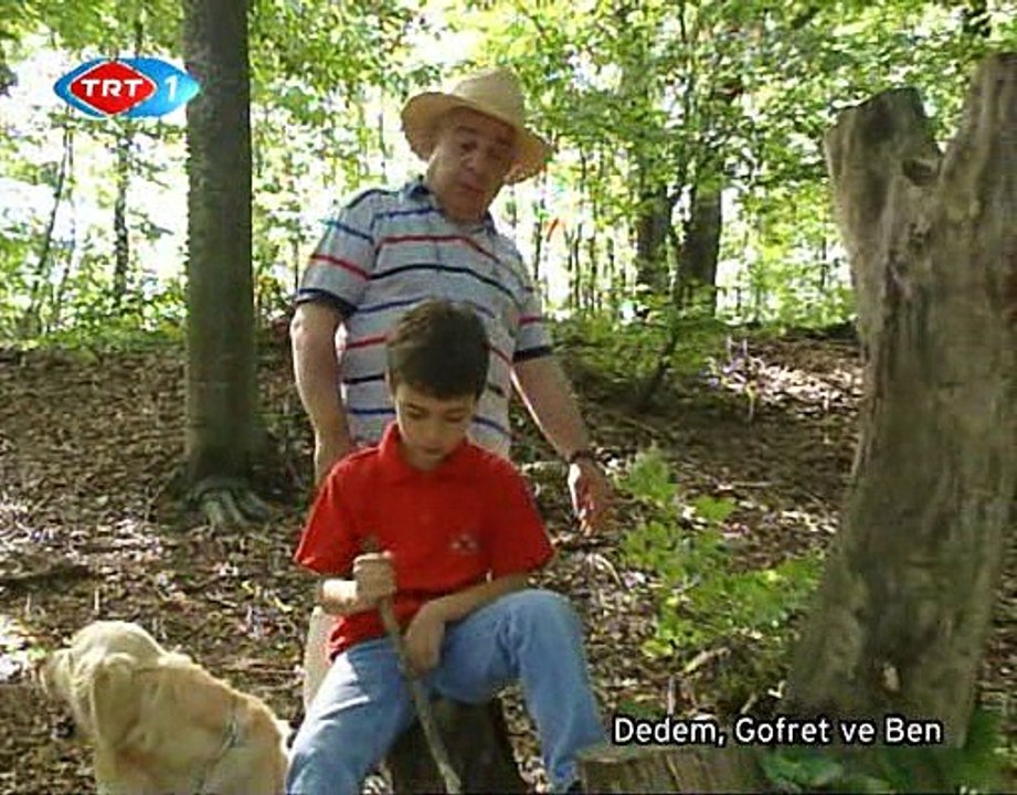 "Dedem,Gofret ve ben" Dizisi 2.bölüm FULL (TRT 1/2001) - Zeki alasya,Hazım Körmükçü,Selma Güneri
