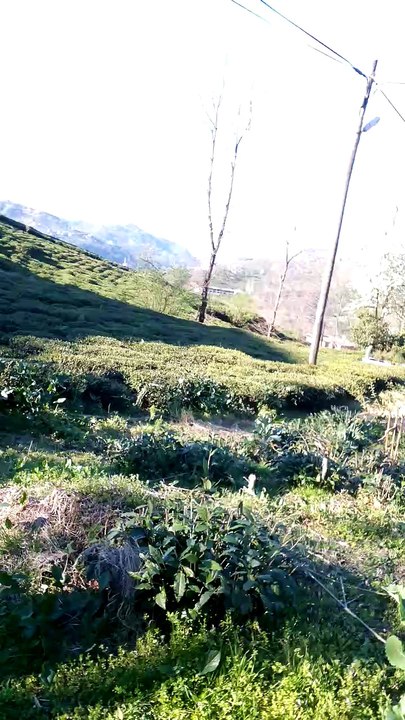 VID_20160309_145252