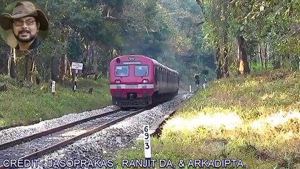 Elephant Tried Many Times To Jump A Small Drain