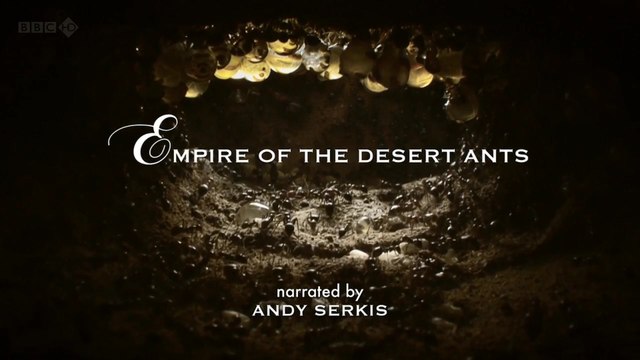 BBC Мир природы. Муравьиная Империя / Empire of the Desert Ants (2011) HD