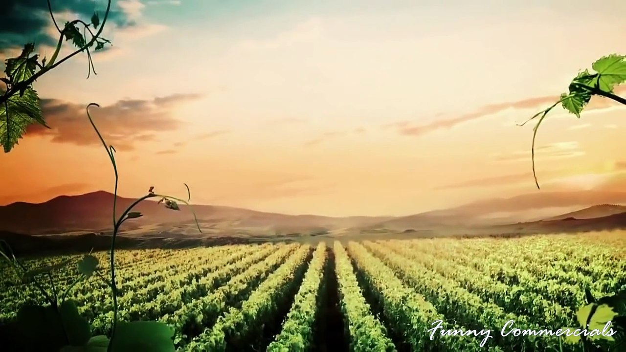 Top 5 The Best Cristiano Ronaldo Impressive Commercials of All Time