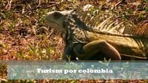 Turism por colombia