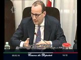 Roma - Audizione Direttore Tagliavia (09.03.16)