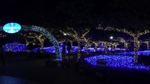 沖縄海洋博公園 イルミネーション
