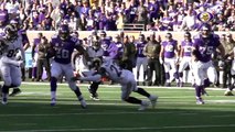 Adrian Peterson 2015-2016 Highlights