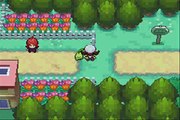 Pokemon Soul Silver Walkthrough Part #03: Passing By