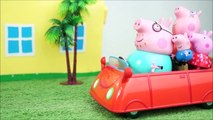 Peppa Pig e George Comprando um Carro Novo para Família Pig! Em Português Brinquedos Kid