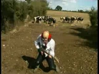 Meuh (la vache folle) - Michel