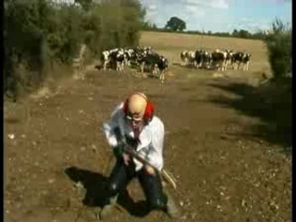 Meuh (la vache folle) - Michel