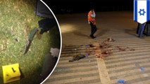American tourist killed, several others wounded in Israel stabbing attack