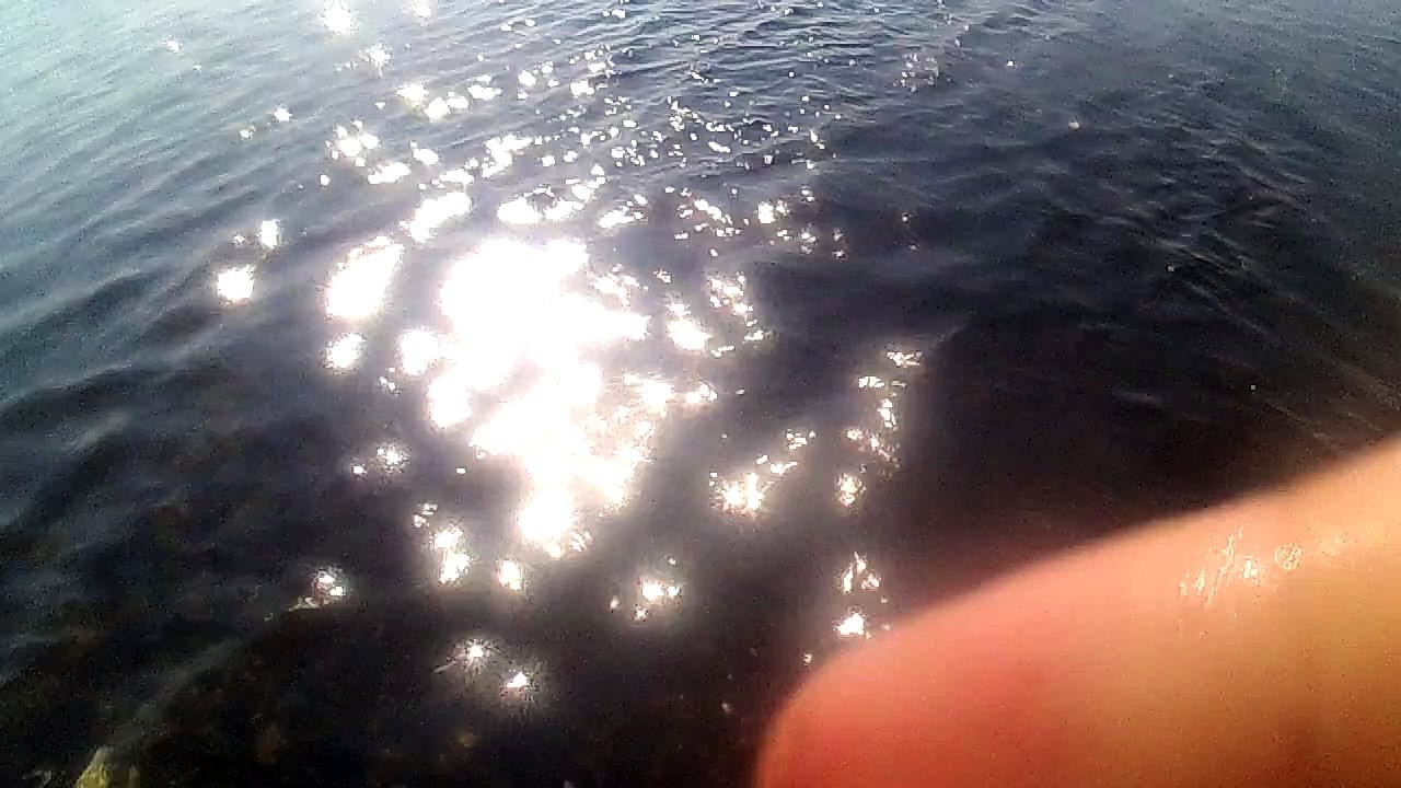 Petite vue sous marine avec ma PNJcam HD700