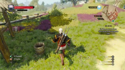 THE WITCHER 3 WALKTHROUGH PART 101 - HONOR AMONG THIEVES & GET JUNIOR