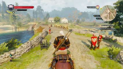 THE WITCHER 3 WALKTHROUGH PART 102 - GET JUNIOR, AN EYE FOR AN EYE & A TOWERFUL OF MICE