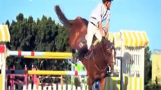 Show Jumping || Skill or Sport? 2 O SUBS!