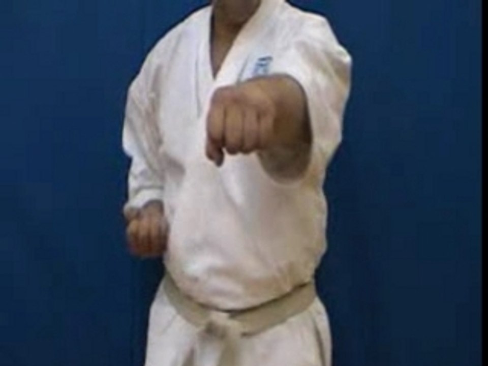 Shotokan karate - basic punch chokuzuki